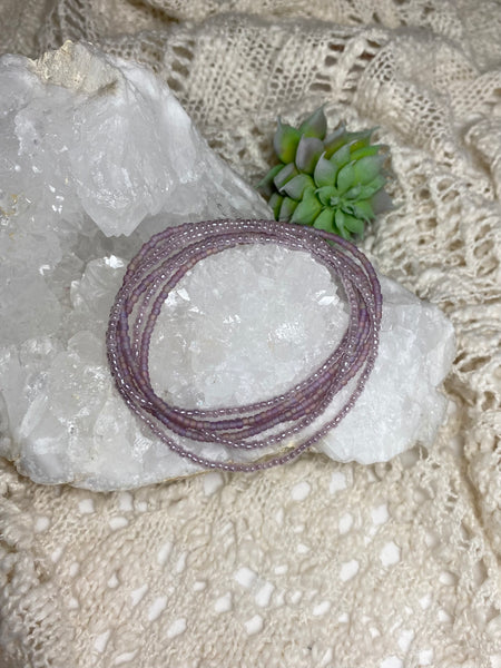 Lavender in Bloom